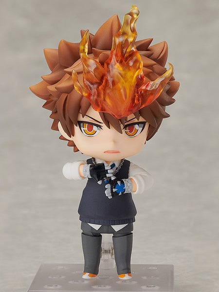 Katekyou Hitman REBORN! - Sawada Tsunayoshi - Nendoroid (#912) (FREEing)