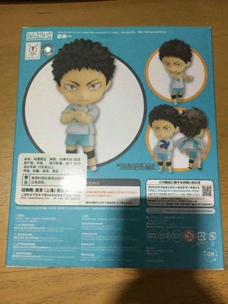 Iwaizumi Hajime - Nendoroid #699